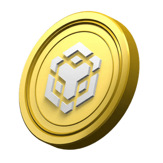 Ornamental BNB coin within the platform information section